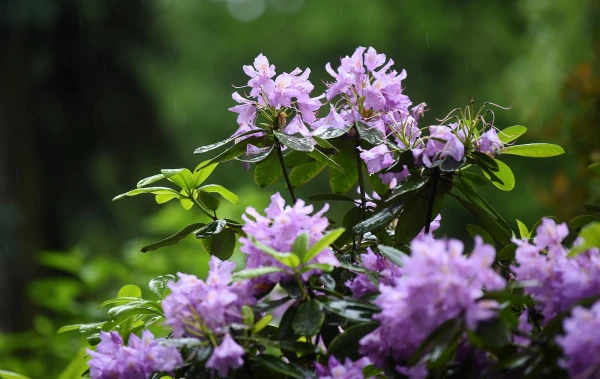 Изображение к статье: С востока к Латвии приближается атмосферный фронт