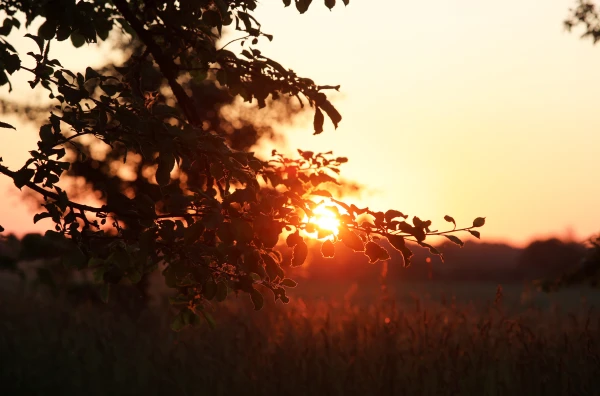 Изображение к статье: Народные приметы на 28 мая — Пахом Тёплый