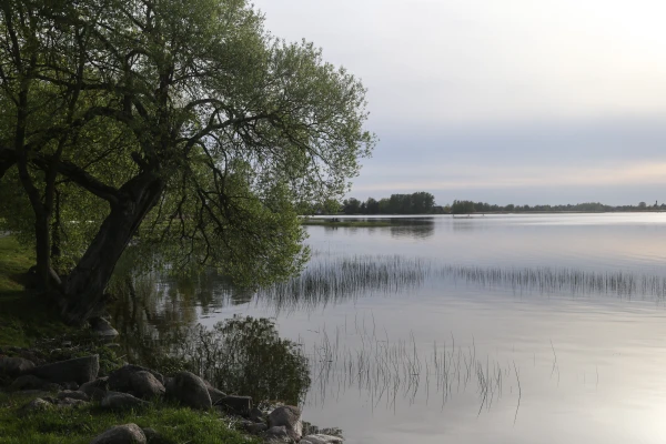 Изображение к статье: Быть или не быть дождю на выходных? У синоптиков есть ответ на этот вопрос
