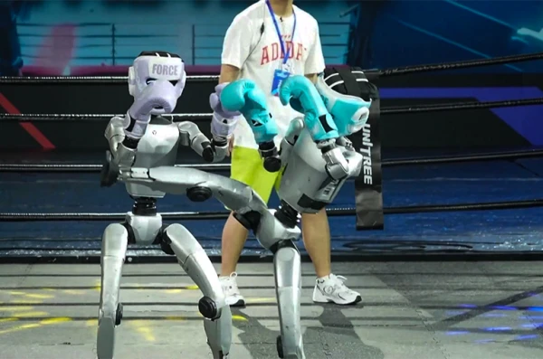 Изображение к статье: Электронные бойцы наносили вполне естественные удары.