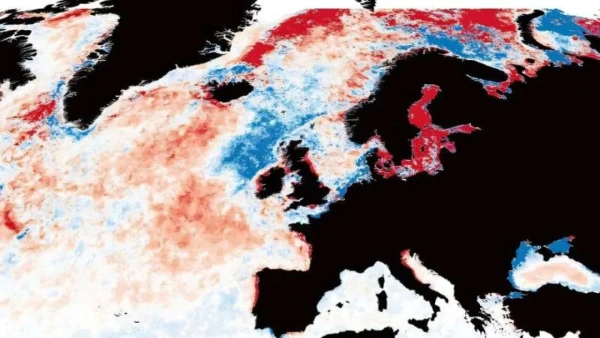 Изображение к статье: Карта, на которой изображены Великобритания и северная часть Атлантического океана, на которой показаны изменения, выявленные в ходе этого проекта.