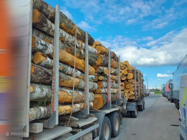 Изображение к статье: У тебя есть лесовоз? -не перегружай его,  штраф - в тысячах