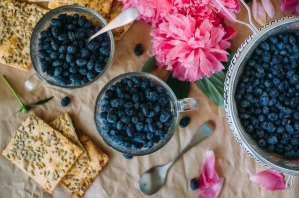 Изображение к статье: Помогает ли жимолость при раке?