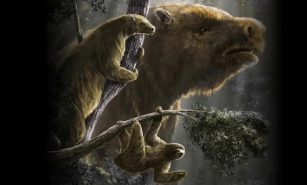 Изображение к статье: Сопоставим масштаб бывших и нынешних ленивцев.