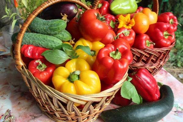 Изображение к статье: Спасаем урожай: почему огурцы, перцы и томаты теряют силу