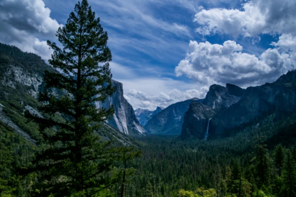 Изображение к статье: Черепахи возвращаются в парк Йосемити после многолетнего гнета лягушек-быков