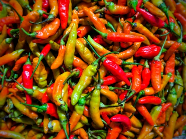 Изображение к статье: Создание «анти-специи» выручит тех, кто плохо переносит острое