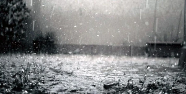 Изображение к статье: То заморозки, то ливни: министр земледелия поручил подсчитать ущерб посевам и посадкам