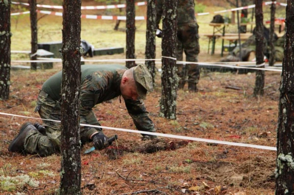 Изображение к статье: Эстония вышла из Оттавской конвенции о запрете противопехотных мин