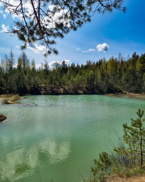 Изображение к статье: Только на севере Старого Света остались чистые воды.