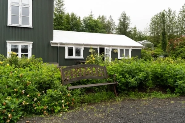 Изображение к статье: Топ декоративных растений, которые уничтожат сорняки