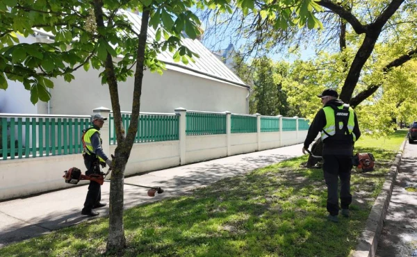 Изображение к статье: Благодаря выборам в Даугавпилсе появились почти английские газоны. Пресс–фото.