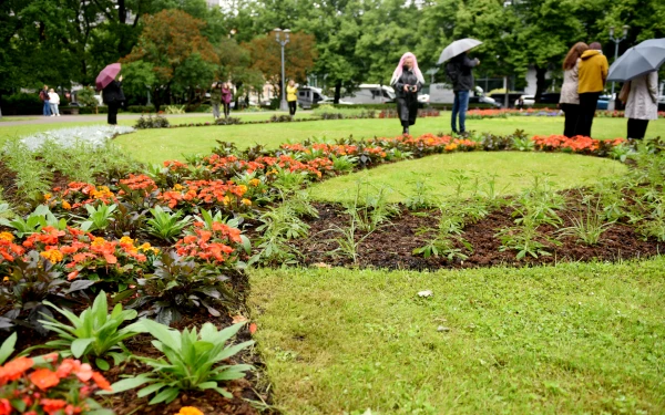 Изображение к статье: В четверг в Латвии ожидаются дожди и порывистый ветер