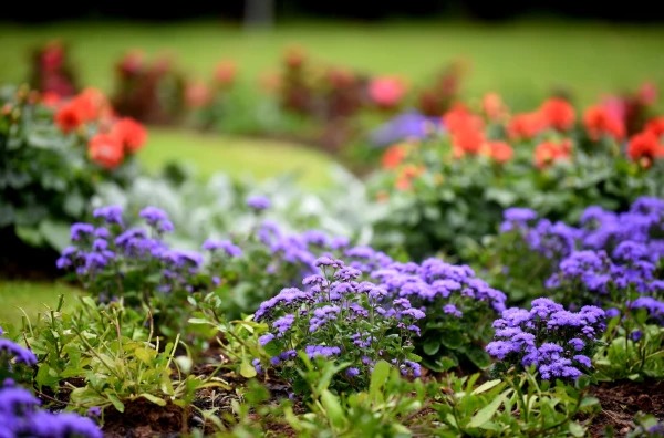 Изображение к статье: Пятница с сюрпризами: на востоке — грозы, в Риге — солнце