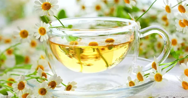 Изображение к статье: Эликсир молодости: какой цветок способен стирать морщины и омолаживать кожу