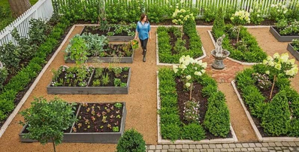 Изображение к статье: Хорошие новости для садоводов: ученые нашли простой способ ускорить рост растений