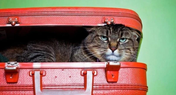 Изображение к статье: При опросе  выяснили, что для латвийца важнее при выборе места отдыха