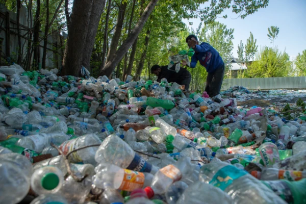 Изображение к статье: Лекарства будут делать из мусора