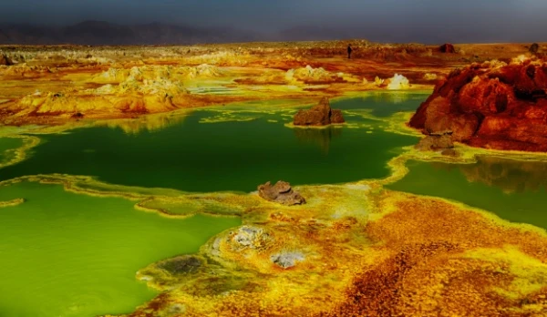 Изображение к статье: Регион Афар — одно из редких мест на Земле.