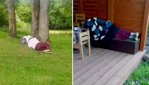 Изображение к статье: «Пусть гуляет!» Депутат выставил свою сестру из дома, она теперь ночует на улице