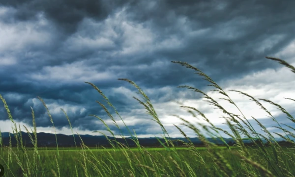 Изображение к статье: Ой! Синоптики предупредили о погоде в Латвии в субботу