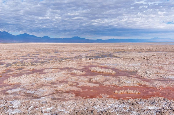 Изображение к статье: Самую сухую пустыню мира засыпало снегом