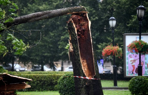 Изображение к статье: Погода в воскресенье - до вечера - желтое предупреждение