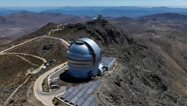 Изображение к статье: Высоко сижу, далеко гляжу.