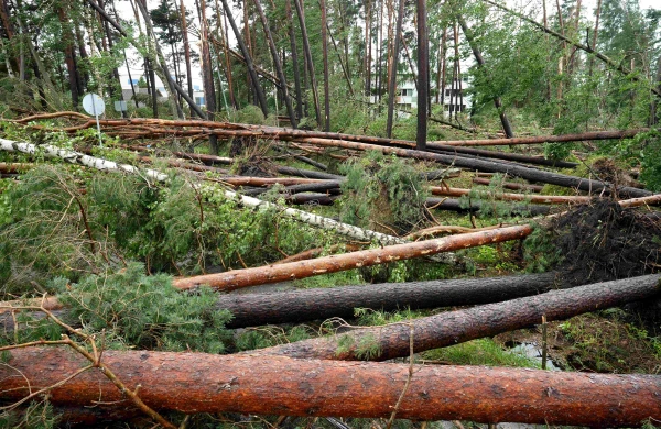 Изображение к статье: Вчера спасатели более 50 раз выезжали на ликвидацию разрушений