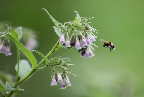 Изображение к статье: Не расслабляйтесь: жара в Латвии быстро закончится ливнями и холодом