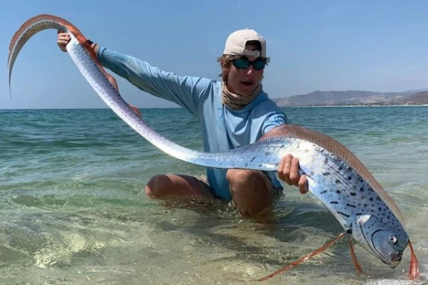 Изображение к статье: Что за рыбу судного дня выбросило на берег Австралии?