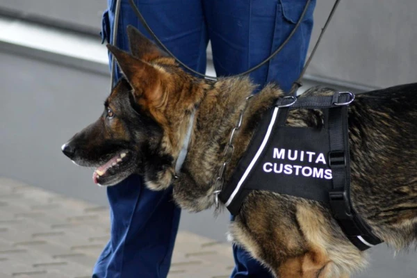 Изображение к статье: Санкции в действии: какие товары задерживают на границе Латвии и как их прячут