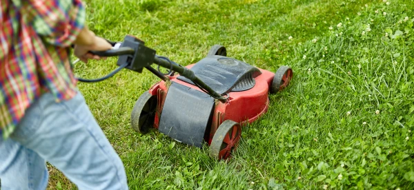 Изображение к статье: Июльский «зеленый клад»: не спешите выбрасывать скошенную траву