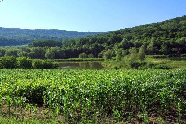 Изображение к статье: В Молдове есть примеры нетронутой природы, как заповедник "Кодры".