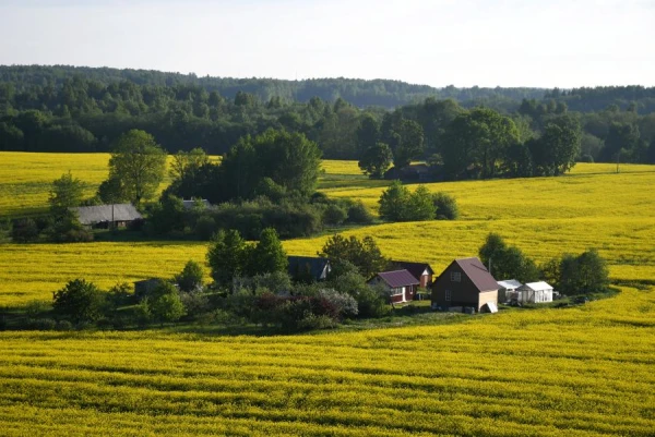 Изображение к статье: В будущем сёла превратятся в элитарное место, где смогут жить только самые состоятельные – социолог