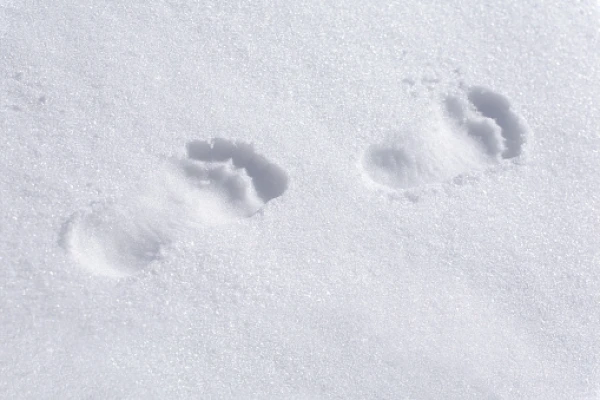 Изображение к статье: В организме погибшего зимой в Резекненском крае двухлетнего мальчика обнаружен алкоголь