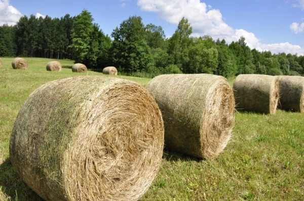 Изображение к статье: В отдельных районах Латвии все еще продолжается только первый покос кормовых трав