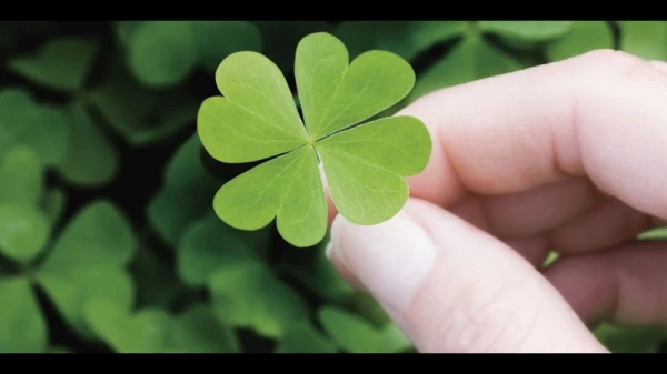 Изображение к статье: «Манна небесная»: каким знакам будет везти во всех сферах