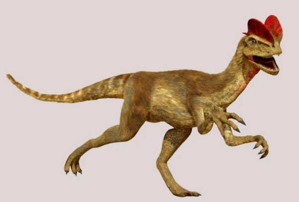 Изображение к статье: Красавчик от кутюр.