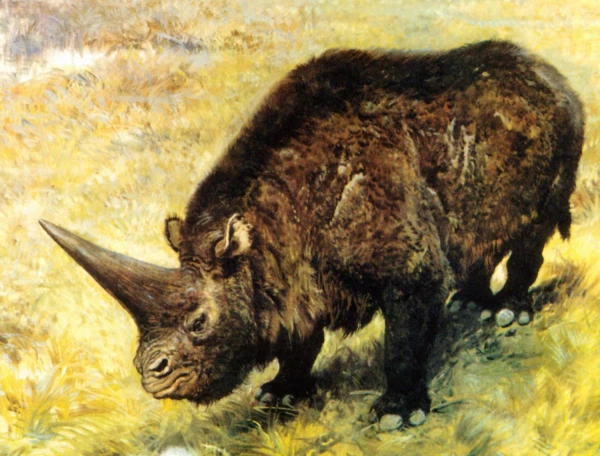 Изображение к статье: Ну что за милый зверек.