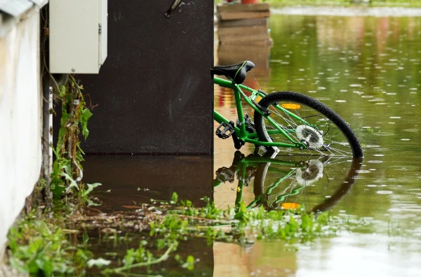 Изображение к статье: «Очень локальная стихия»: страховщики о буре на прошлой неделе