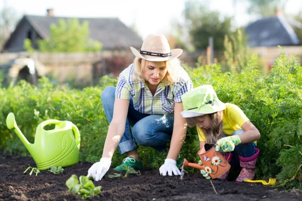 Изображение к статье: Что можно успеть посадить в июле для осеннего урожая