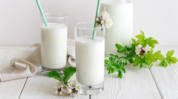 Изображение к статье: Эликсир здоровья и долголетия: чем полезен айран