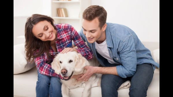 Изображение к статье: Умеют ли собаки различать голоса хозяев