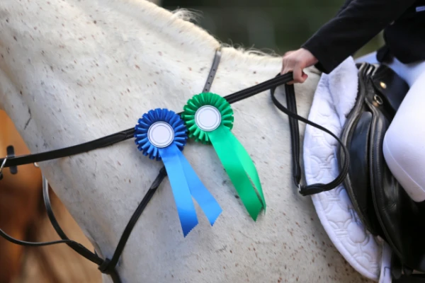 Изображение к статье: Самые дорогие жеребцы в истории: когда цена за лошадь достигает десятков миллионов