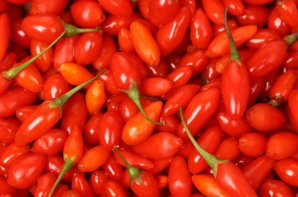 Изображение к статье: Ученые выяснили, как ягоды годжи борются с онкологией