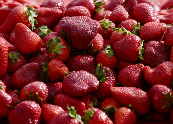 Изображение к статье: Как подкормить клубнику после сбора урожая для максимального плодоношения в следующем сезоне