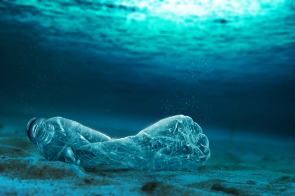 Изображение к статье: Антарктида под угрозой из-за вторжения инвазивных видов