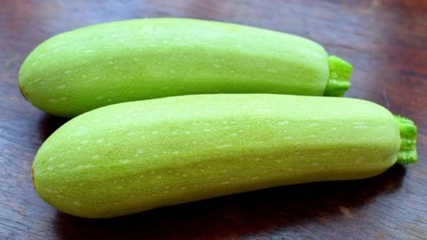 Изображение к статье: Кабачки хранятся месяцами — если не допустить этих ошибок. Советы от специалистов