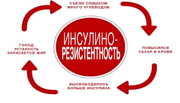 Изображение к статье: Что такое инсулинорезистентность и чем она опасна